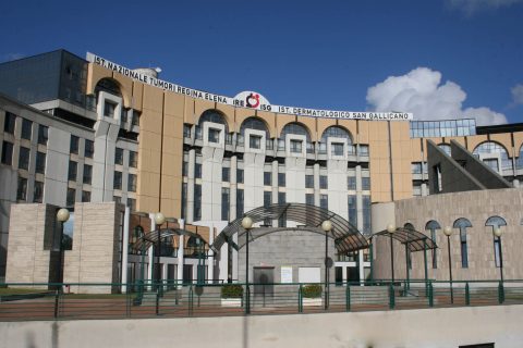 Istituti Fisioterapici Ospitalieri I.R.C.C.S.